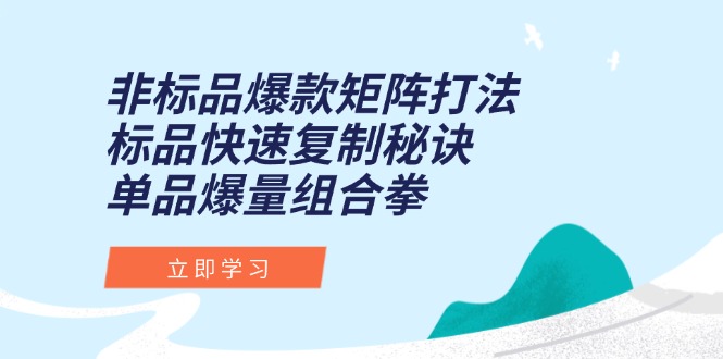 非标品爆款矩阵打法，标品快速复制秘诀，单品爆量组合拳-轻创星球网