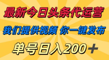 最新今日头条代运营，我们提供视频，你一键发布，单号日入200+【揭秘】-轻创星球网