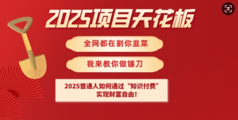 2025项目天花板普通人如何通过知识付费，实现财F自由【揭秘】-轻创星球网