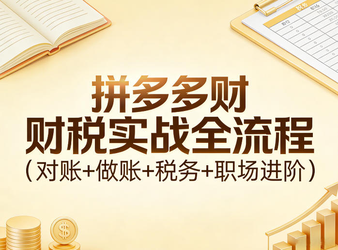 拼多多财税实战全流程(对账+做账+税务+职场进阶)-轻创星球网
