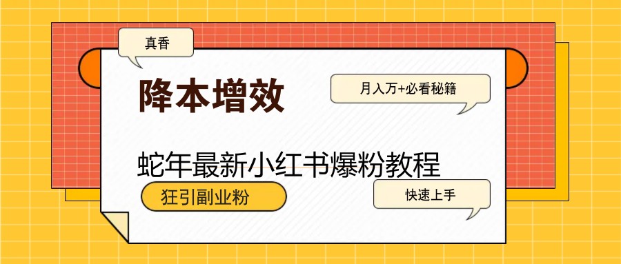 蛇年最新小红书爆粉教程，狂引副业粉，月入万+必看-轻创星球网