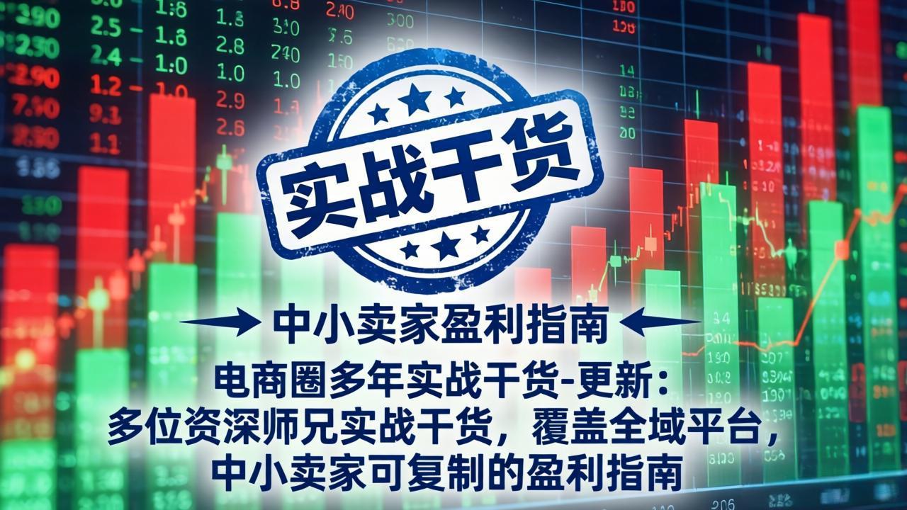 电商圈多年实战干货-更新4月：多位资深师兄实战干货，覆盖全域平台，中小卖家可复制的盈利指南-轻创星球网