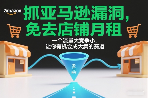 抓亚马逊漏洞，免去店铺月租，一个流量大竞争小，让你有机会成大卖的赛道-轻创星球网