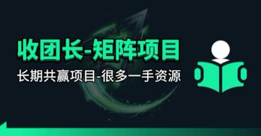 【团长合作】视频矩阵项目_招发手矩阵+剪辑师，共赢项目【揭秘】-轻创星球网