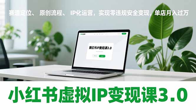 小红书虚拟IP变现课3.0，赛道定位、原创流程、IP化运营，实现零违规安全变现，单店月入过万-轻创星球网