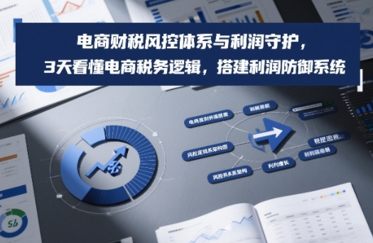 电商财税风控体系与利润守护，3天看懂电商税务逻辑，搭建利润防御系统-轻创星球网