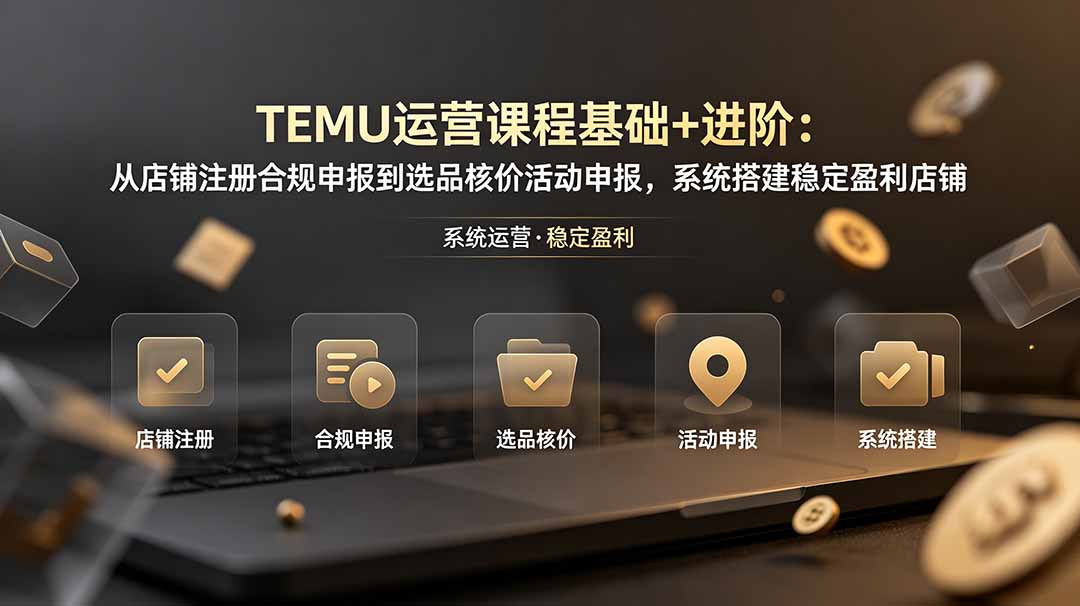 TEMU运营课程(基础+进阶-轻创星球网
