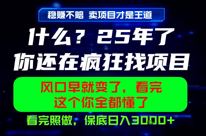 26年，请不要疯狂的找项目做了！卖项目才是真的稳賺不赔，看完照做，保底日入1k+【揭秘】-轻创星球网
