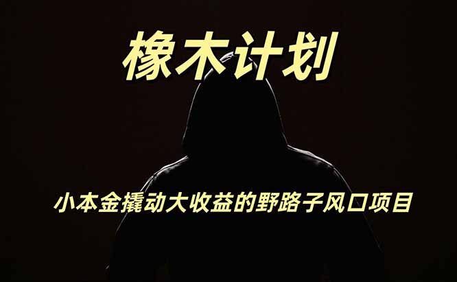 橡木计划，小投入撬动高回报的风口野路子项目，一天投入2小时左右-轻创星球网