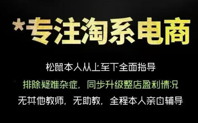 松鼠会电商VIP课程，从基础布局到高阶优化，助你掌握淘宝运营逻辑，提升店铺流量与转化(更新0809)-轻创星球网