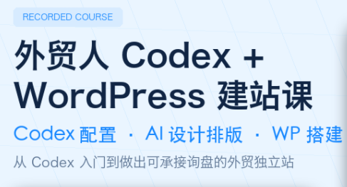 大卫·外贸人Codex + WordPress建站课(更新8月)-轻创星球网