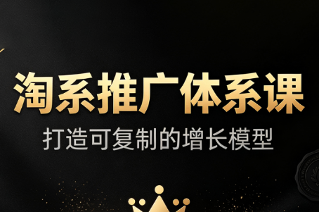 大山·淘系推广体系课-轻创星球网