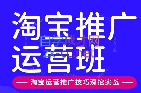 美迪电商·淘宝高级运营班+推广运营班(更新9月)-轻创星球网