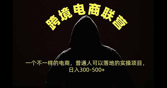 跨境电商联营，一个不一样的电商，普通人可操作日入300-500+-轻创星球网