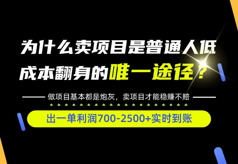 普通人如何靠互联网賺取自己的第一桶金！全类目实操型教学，看完你全都懂了！【揭秘】-轻创星球网